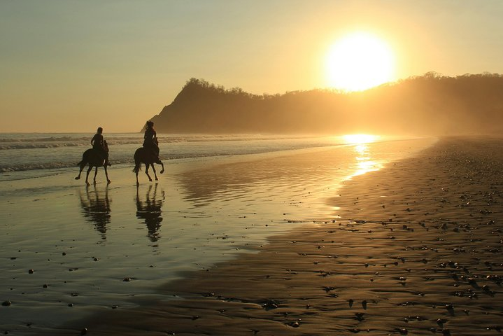 Safari & Buenavista Beach Horse Riding Tour - Photo 1 of 2